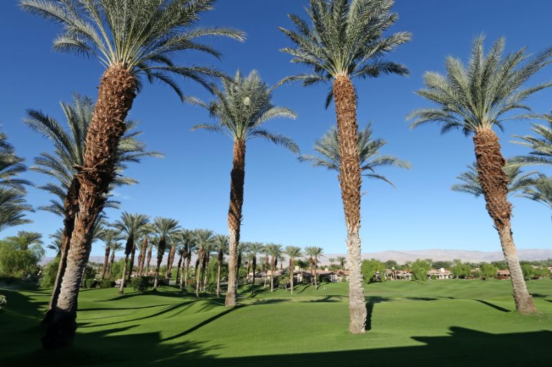 Palm Desert