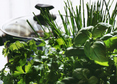 Why Not Grow Herbs in the Desert?